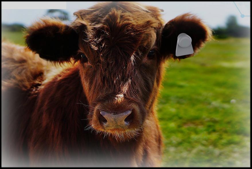 医院信息管理系统