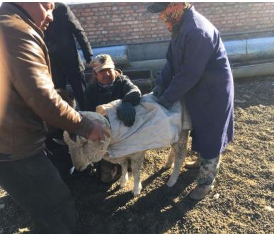 人力资源管理平台