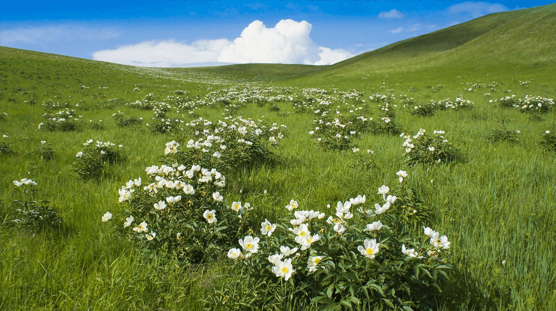 专注科技开发 · 赋能企业发展