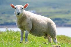 某市政务服务中心